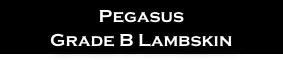Pegasus
Grade B Lambskin